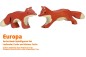 Preview: Fuchs und kleiner Fuchs | Europa 2 Tier-Paket | Arche Spielfiguren | Holztiger