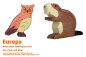 Preview: Uhu-Eule und Biber | Europa 3 Tier-Paket | Arche Spielfiguren | Holztiger