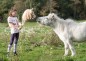 Preview: Hobby Horse - Mädchen spielt mit Steckenpferd