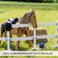 Preview: Erweiterungsset für Steckenpferd Zaun zum Aufbau eines Paddocks
