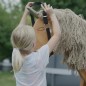 Preview: Kind spielt mit dem Holzpferd Einhorn und legt ihm ein Halfter an.
