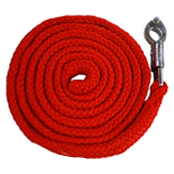 Führleine groß rot