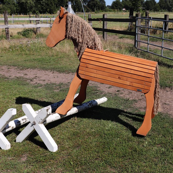 Voltigierpferd für Erwachsene zum Reiten üben